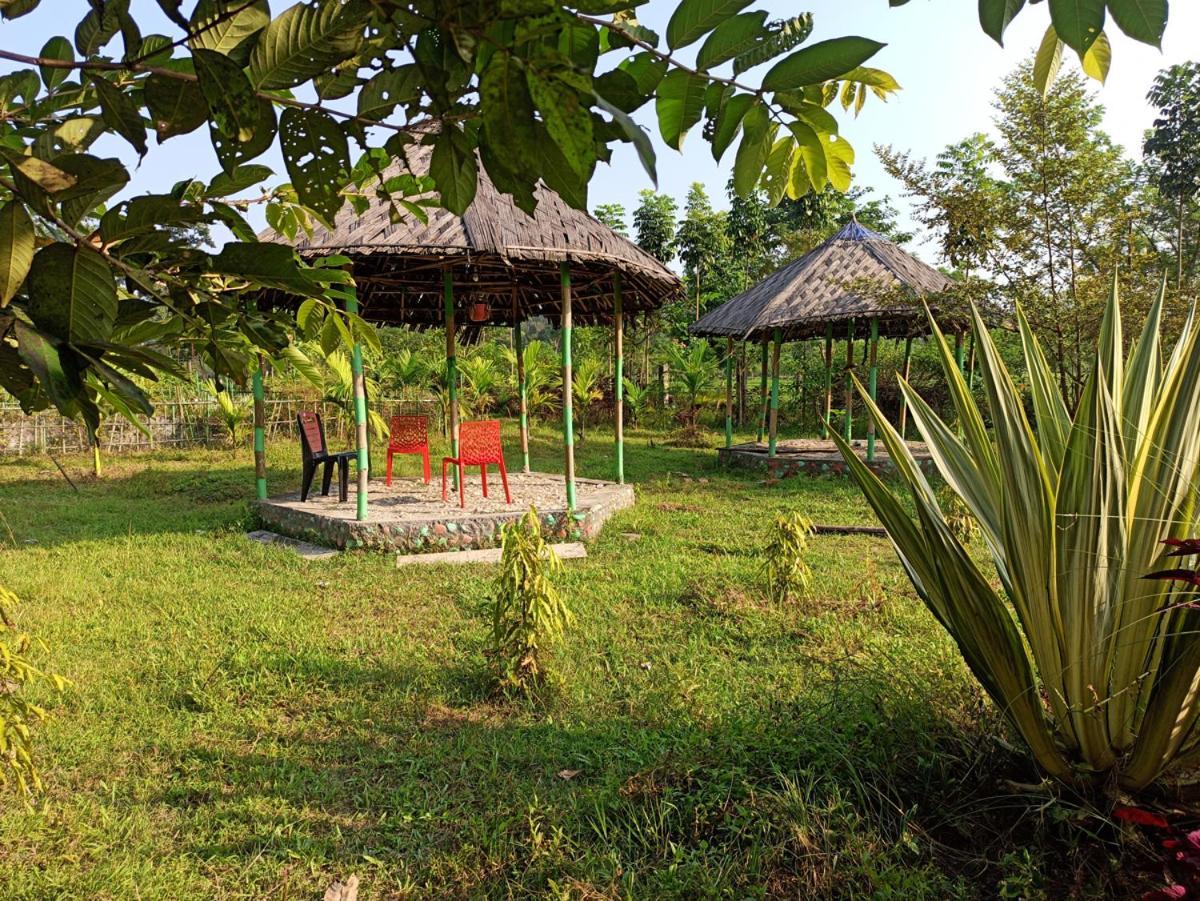 Grasshopper Jungle Queen Resort Chālsa Exteriér fotografie