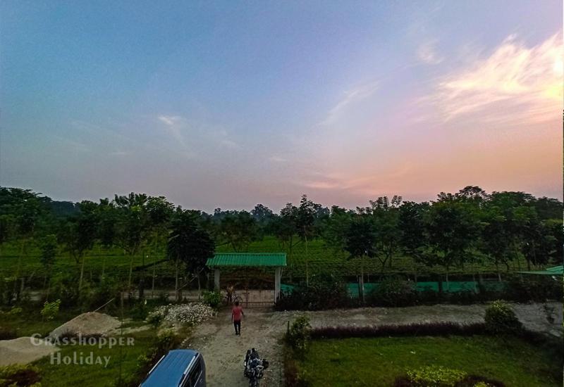 Grasshopper Jungle Queen Resort Chālsa Exteriér fotografie