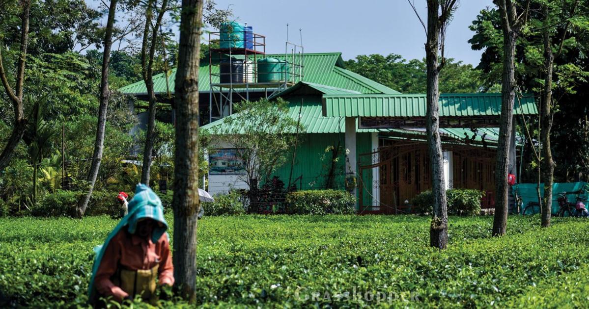 Grasshopper Jungle Queen Resort Chālsa Exteriér fotografie